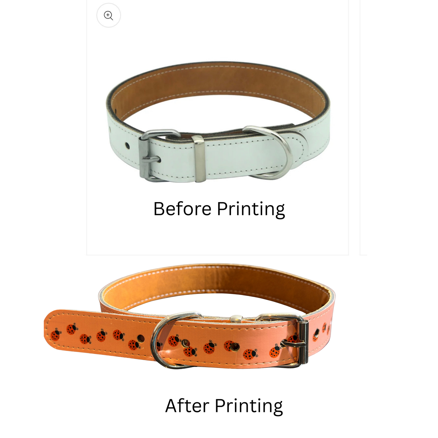 Personalised Dog Collar