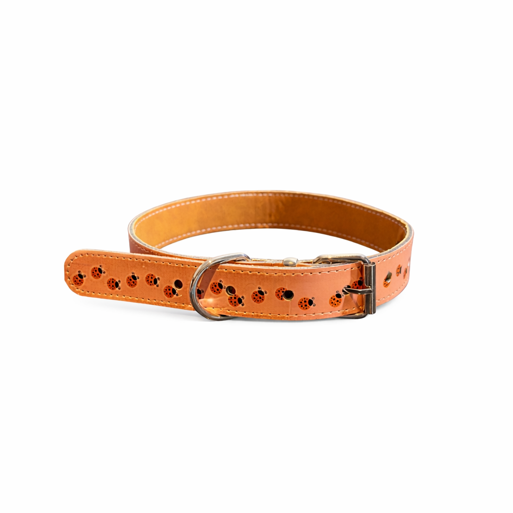 Personalised Dog Collar