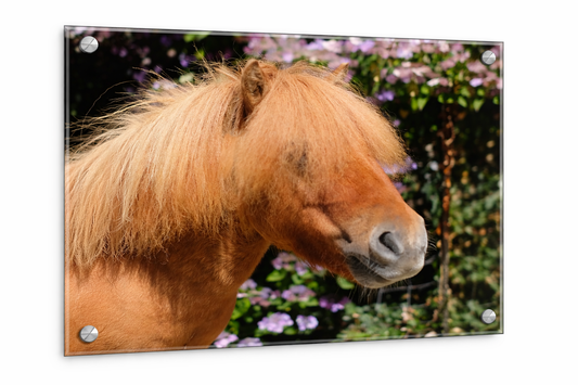 Personalised Photo Glass Panel 30cm x 40cm