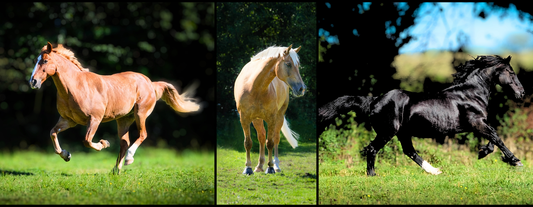 Personalised Full Wrap Photo Mug - 5 Photos